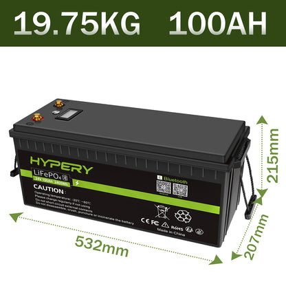 24V 100Ah LiFePO4 Lithium Battery BMS Deep Cycle Bluetooth LCD For Off-Grid Solar RV