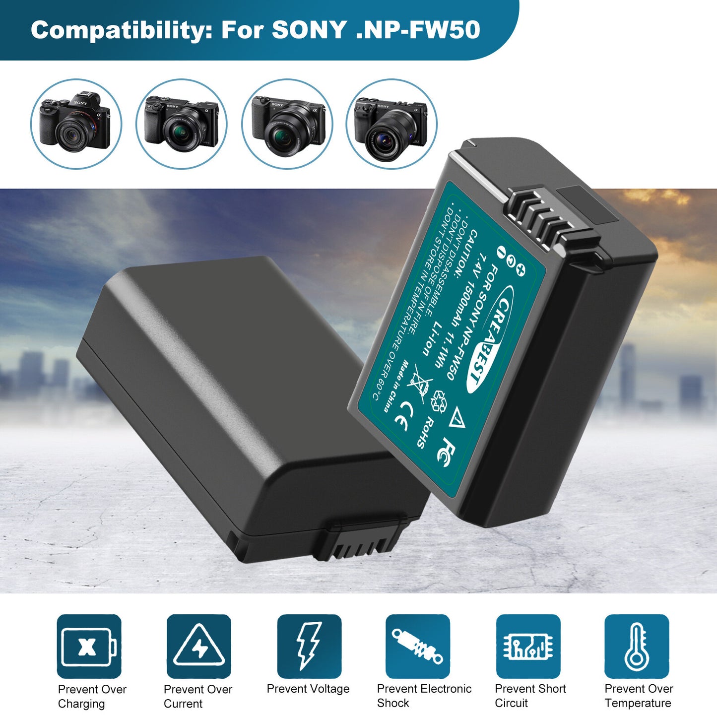 2X NP-FW50 Battery &Fast Charger For Sony A6500 A6000 A7R A7RII A7S A7II RX10