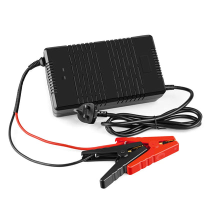 SHENTEC 30A LiFePO4 Battery Charger for 12V Lithium Iron Phosphate Batteries with M8 Terminals & Alligator Clips